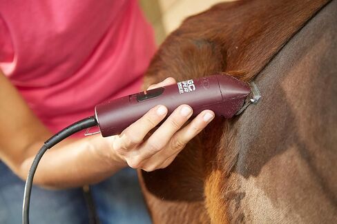 Andis 23330 Professional AGC Super 2-Speed ​​Horse Clipper مع شفرة قابلة للفصل - تصميم تشغيل رائع وهادئ - يتضمن شفرة T-84 ذات حافة فائقة الحجم للعناية الكاملة بالخيول - بورجوندي in Saudi Arabia
