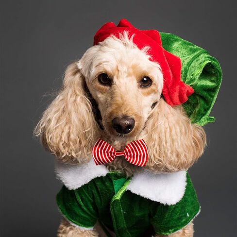 Segarty Puppy Bow Ties, 10 PCS Dog Bowtie Collar Bulk Holiday Cat Collar Grooming Bows for Pet Photography Festival Party Neck Wear Gift, Cute and Plaid Patterned in Kuwait
