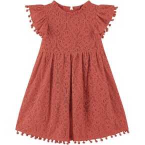 JNKLWPJS Toddler Girls Hollow Lace Pom Pom Flutter Sleeve Princess Party Dress
