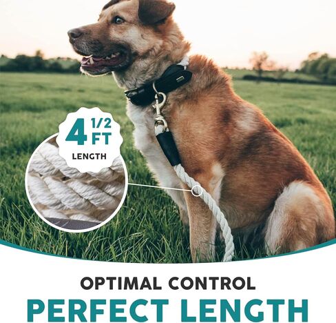 مقود حبل للكلاب من Embark Pets - مقاود حبل قطنية مضفرة للكلاب مقود حبل سميك - مقود حبل للكلاب الصغيرة، مقود حبل للكلاب المتوسطة، مقود حبل للكلاب الكبيرة (4.5 قدم، كريم) in Saudi Arabia