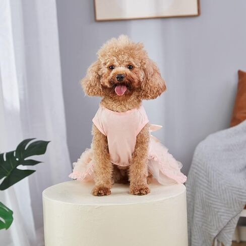 Dogs Glitter Wedding Dresses Tutu Skit for Small Medium Dog Pet Outfit Princess Flower Girl Clothes for Birthday Bridal Halloween Party Costume (Birthday Girl Pink, XS) in Saudi Arabia