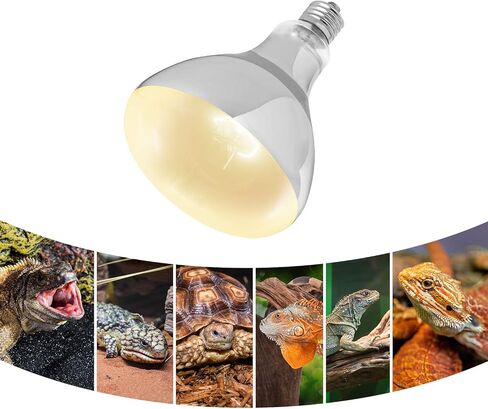 WACOOL مصباح الحرارة للزواحف UVA UVB ضوء الزواحف الكل في واحد، محاكاة كامل الطيف لمبة أشعة الشمس للزواحف البرمائية السلحفاة ثعبان أبو بريص التنين الملتحي استخدام + بطاقة مستشعر UVB قطعة واحدة in Kuwait