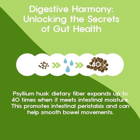 BTGIN Psyllium Husk Fiber Fish Collagen All-in-One Supplement for Digestive Health, Colon Cleanse to Support Constipation Relief, Better Digestion, Jangdabium 30 Packets in Kuwait