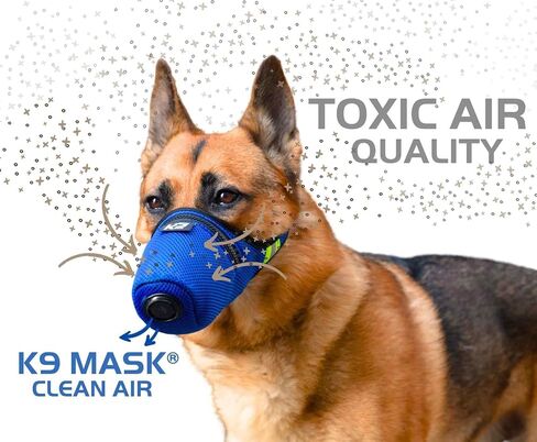 قناع فلتر الهواء K9 Mask® للكلاب مع عبوات فلتر الهواء الممتازة PM2.5 "التنفس الشديد" - أزرق (كبير) in Kuwait
