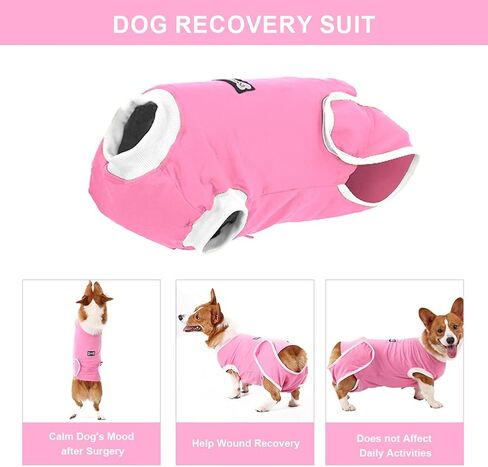 EMUST Dog Recovery Suit, After Surgery Wear for Dogs Male Female, Pet E-Collars Alternative Bandages, Professional Dog Onesie for Surgery for Abdominal Wounds, Weaning&Skin Diseases,Burgundy Strip/XXL in Kuwait