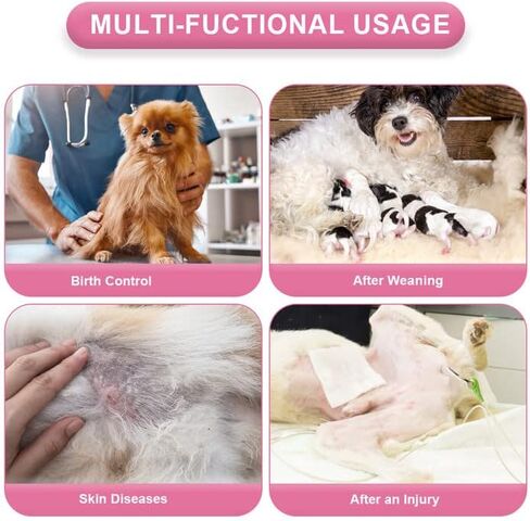 EMUST Dog Recovery Suit, After Surgery Wear for Dogs Male Female, Pet E-Collars Alternative Bandages, Professional Dog Onesie for Surgery for Abdominal Wounds, Weaning&Skin Diseases,Burgundy Strip/XXL in Kuwait