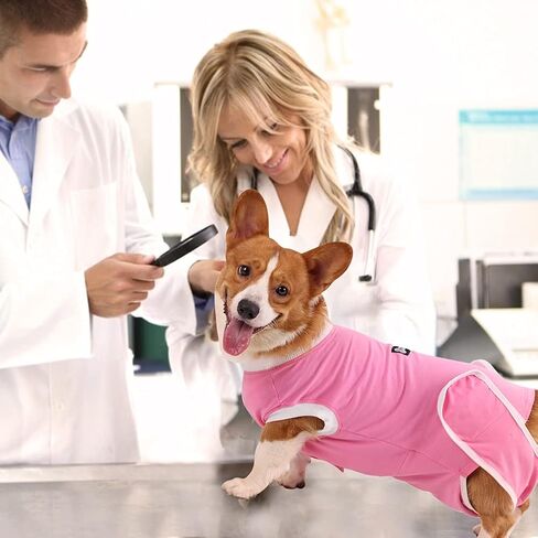 EMUST Dog Recovery Suit, After Surgery Wear for Dogs Male Female, Pet E-Collars Alternative Bandages, Professional Dog Onesie for Surgery for Abdominal Wounds, Weaning&Skin Diseases,Burgundy Strip/XXL in Kuwait