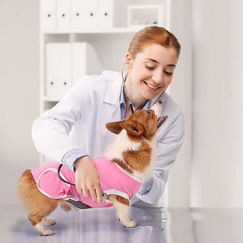 EMUST Dog Recovery Suit, After Surgery Wear for Dogs Male Female, Pet E-Collars Alternative Bandages, Professional Dog Onesie for Surgery for Abdominal Wounds, Weaning&Skin Diseases,Burgundy Strip/XXL in Kuwait