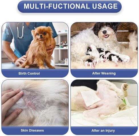 EMUST Dog Recovery Suit, After Surgery Wear for Dogs Male Female, Pet E-Collars Alternative Bandages, Professional Dog Onesie for Surgery for Abdominal Wounds, Weaning&Skin Diseases,Burgundy Strip/XXL in Kuwait