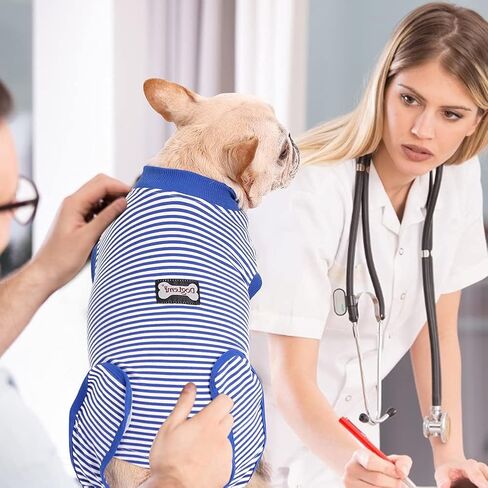 EMUST Dog Recovery Suit, After Surgery Wear for Dogs Male Female, Pet E-Collars Alternative Bandages, Professional Dog Onesie for Surgery for Abdominal Wounds, Weaning&Skin Diseases,Burgundy Strip/XXL in Kuwait