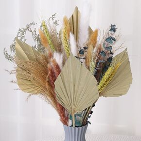 49 قطعة من الزهور الطبيعية المجففة من Fuyamp مع عشب النخيل المجفف وزهور عشب الأوكالبتوس المجففة وزهور بوهيمية رائعة للمزهرية والمكتب وغرفة المنزل وترتيبات الزهور لديكور الزفاف in Kuwait