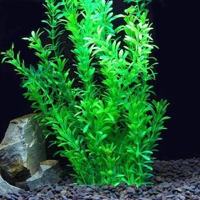 YXQ Aquarium Decorations Plastic Plants 24" Large Artificial Fish Tank Plant Ornament for Fish in Saudi Arabia