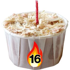 Qwick Wick Fire Starters - Great for Fireplace, Wood Stoves, Camp Fire - 100% Natural - Made in Canada (16) in Saudi Arabia