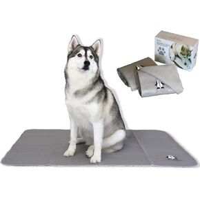 TRENDY DEN CREATIONS Puppy Pads Dog Pee Pads - Puppy Essentials or Pet Supplies Puppy Pads Pet Training Pads - 36"X48" 2 Pack Anti-Slip Washable Pee Pads for Dogs - Dog Pads Extra Large - Potty in Saudi Arabia