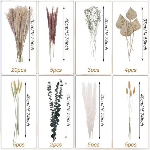49 قطعة من الزهور الطبيعية المجففة من Fuyamp مع عشب النخيل المجفف وزهور عشب الأوكالبتوس المجففة وزهور بوهيمية رائعة للمزهرية والمكتب وغرفة المنزل وترتيبات الزهور لديكور الزفاف in Kuwait