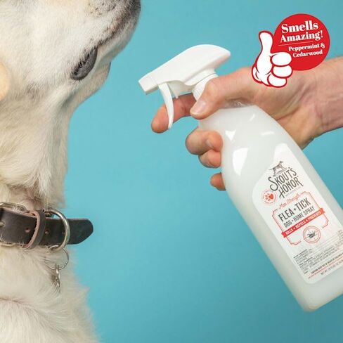 SKOUT'S HONOR: Flea + Tick Dog & Home Spray with Natural Cedarwood and Peppermint Essential Oils, 28 oz. in Saudi Arabia