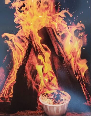 Fire Starters - Great for Fireplace, Wood Stoves, Camp Fire - 100% Natural - Made in Canada in Kuwait