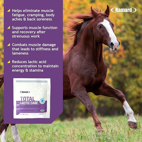 Ramard Total Lactic Care for Aging Horses, Supports Muscle Function, Energy & Stamina Horse Supplies, Vitamin & Supplements w/Branch Chain Amino Acids, 25g Pouch, 1-Pack in Kuwait