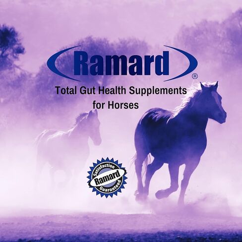 Ramard Total Lactic Care for Aging Horses, Supports Muscle Function, Energy & Stamina Horse Supplies, Vitamin & Supplements w/Branch Chain Amino Acids, 25g Pouch, 1-Pack in Kuwait
