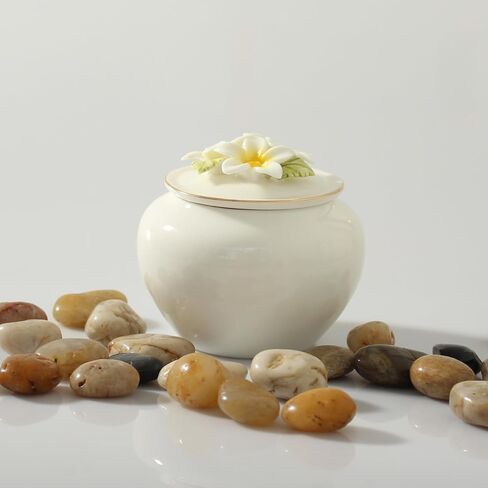 Contid جرة صغيرة جرة تذكار صغيرة الجرار الزخرفية السيراميك للرماد جرة صغيرة تذكارية صغيرة لتقاسم رماد الحيوانات الأليفة الإناث الكبار in Kuwait