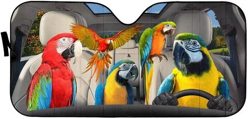 مظلة شمسية للزجاج الأمامي للسيارة من Parrot Driving، واقي من الشمس قابل للطي لشاحنة السيارة وسيارات الدفع الرباعي للحفاظ على برودة سيارتك، يناسب الزجاج الأمامي والإكسسوارات الداخلية للسيارة in Kuwait