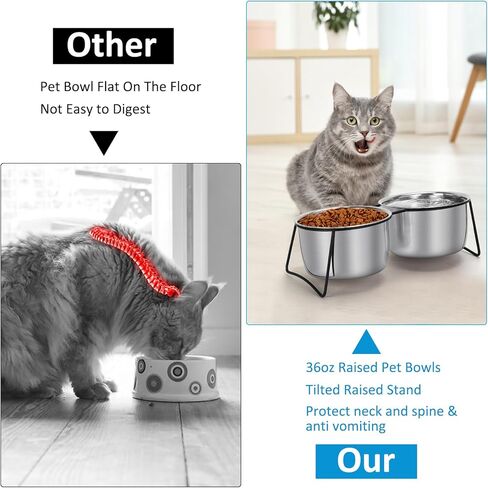 VAlinks Elevated Cat Bowls, Tilted Raised Indoor Cat Dishes for Food and Water, Double Bowls Metal Stand Anti Vomiting Feeder with 2 Stainless Steel Pet Bowls for Cats, Puppy, Dogs, (Black, 36oz) in Kuwait