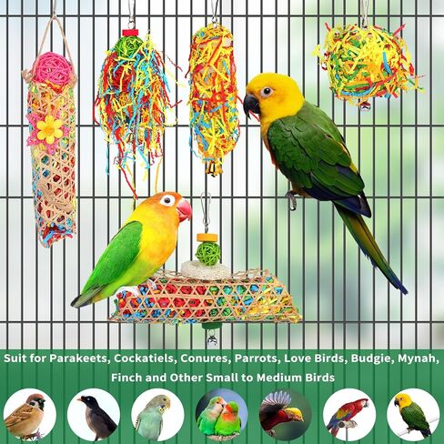 HOMELYLIFE 5PCS Bird Shredder Toys for Parrot Parakeets Foraging Chewing Toys Cockatiel Loofah Toys, Hanging Bird Toys Cage Accessories for Cockatiels,Conures,Medium/Small Parrots,Lovebirds,Budgie in Kuwait