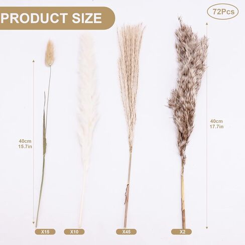 72pcs Dried Pampa Grass Natural Dried Flower Decoration Set Pampa Grass Decoration Dried Flowers Bouquet Natural Pampa Decoration Natural Dried Flowers DIY Dried Flowers Decoration for Flower in Kuwait