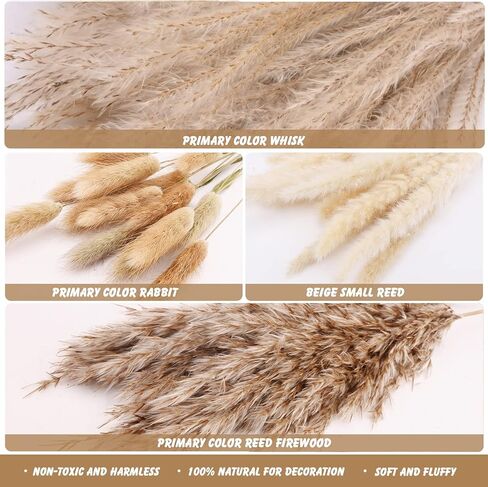 72pcs Dried Pampa Grass Natural Dried Flower Decoration Set Pampa Grass Decoration Dried Flowers Bouquet Natural Pampa Decoration Natural Dried Flowers DIY Dried Flowers Decoration for Flower in Kuwait