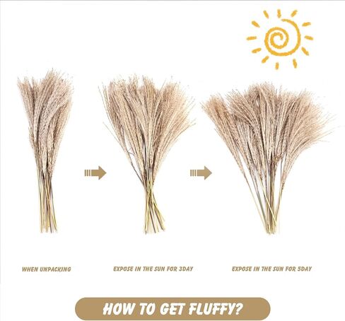 72pcs Dried Pampa Grass Natural Dried Flower Decoration Set Pampa Grass Decoration Dried Flowers Bouquet Natural Pampa Decoration Natural Dried Flowers DIY Dried Flowers Decoration for Flower in Kuwait