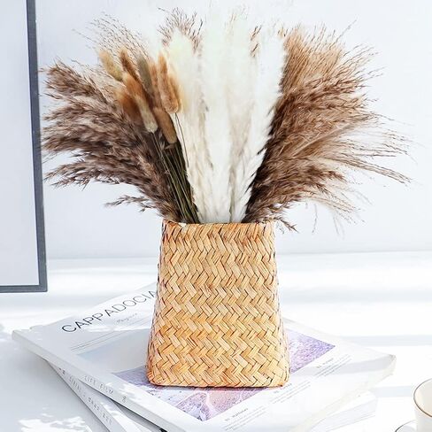 72pcs Dried Pampa Grass Natural Dried Flower Decoration Set Pampa Grass Decoration Dried Flowers Bouquet Natural Pampa Decoration Natural Dried Flowers DIY Dried Flowers Decoration for Flower in Kuwait