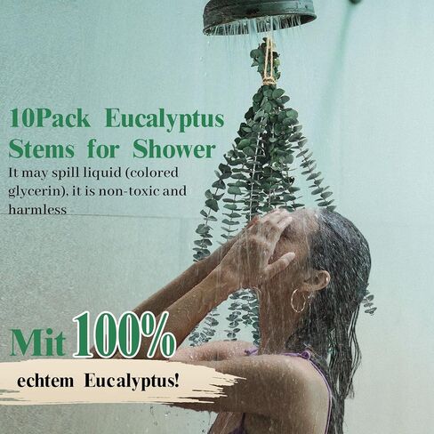 اوكالبتوس الدولار الفضي المحفوظ من هواتيمي، بطول 18 انش - 20 انش، مع نباتات خضراء لديكور المنزل وحفلات الزفاف والحفلات والقطع المركزية والمزهريات in Kuwait