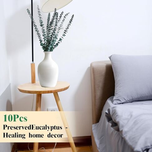 اوكالبتوس الدولار الفضي المحفوظ من هواتيمي، بطول 18 انش - 20 انش، مع نباتات خضراء لديكور المنزل وحفلات الزفاف والحفلات والقطع المركزية والمزهريات in Kuwait