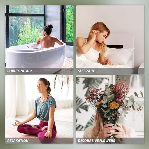 اوكالبتوس الدولار الفضي المحفوظ من هواتيمي، بطول 18 انش - 20 انش، مع نباتات خضراء لديكور المنزل وحفلات الزفاف والحفلات والقطع المركزية والمزهريات in Kuwait