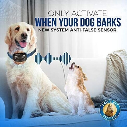Bark Collar 2 Pack [Upgraded] | Anti-Barking Collar | Smart Chip | Beeps/Vibration/Shock Mode | For Small Medium and Large Dogs All Breeds Over 6 Lbs in Kuwait