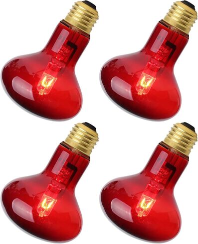 FIVEAGE 75W Red Heat Light Reptile Heat Lamp Infrared Bulb UVA Basking Spot Bulb for Reptile and Amphibian Use - Bearded Dragons Lizard Tortoise Snake Chameleon 2 Pack in Kuwait