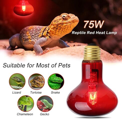 FIVEAGE 75W Red Heat Light Reptile Heat Lamp Infrared Bulb UVA Basking Spot Bulb for Reptile and Amphibian Use - Bearded Dragons Lizard Tortoise Snake Chameleon 2 Pack in Kuwait