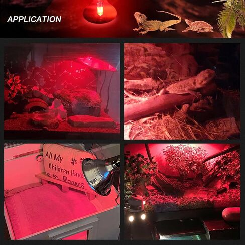 FIVEAGE 75W Red Heat Light Reptile Heat Lamp Infrared Bulb UVA Basking Spot Bulb for Reptile and Amphibian Use - Bearded Dragons Lizard Tortoise Snake Chameleon 2 Pack in Kuwait