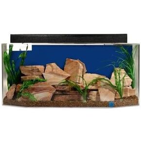 SeaClear 40 gal System II Acrylic Aquarium, 36 by 15 by 16", Black in Saudi Arabia