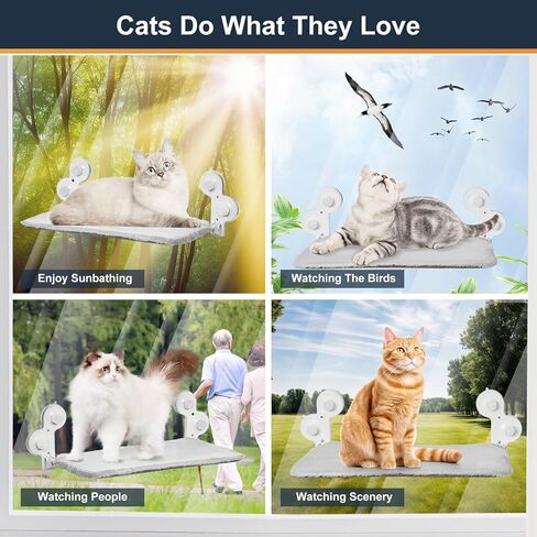 JISEN Cat Window Perch قابلة للطي، أرجوحة نافذة القط، مقعد سرير نافذة القط مع غطاء قابل للعكس، مجثم نافذة قوي للقطط داخل يحمل ما يصل إلى 40 رطل لحمامات الشمس ومشاهدة الطيور in Kuwait