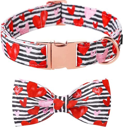 Lionet Paws Valentine Dog طوق الكلب مع ربطة عنق، طوق ربطة عنق للكلاب مع مشبك معدني للكلاب، طوق كلب مريح قابل للتعديل، قلوب هدية للبنات والأولاد، مقاس M، رقبة 13.5-22 بوصة in Saudi Arabia