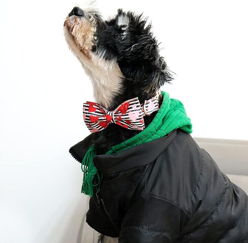 Lionet Paws Valentine Dog طوق الكلب مع ربطة عنق، طوق ربطة عنق للكلاب مع مشبك معدني للكلاب، طوق كلب مريح قابل للتعديل، قلوب هدية للبنات والأولاد، مقاس M، رقبة 13.5-22 بوصة in Saudi Arabia