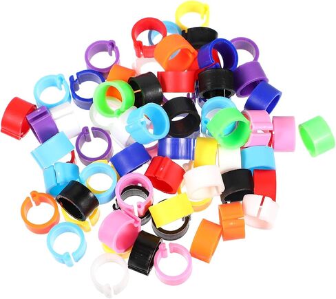 Birdies Pigeon Foot Ring 100Pcs Plastic Bird Leg Band Rings Multi-Color Leg Rings Bird Clips Ankle Band Racing Pigeon Bands for Pigeon Dove Chicks Bantam Ar Accessories in Saudi Arabia