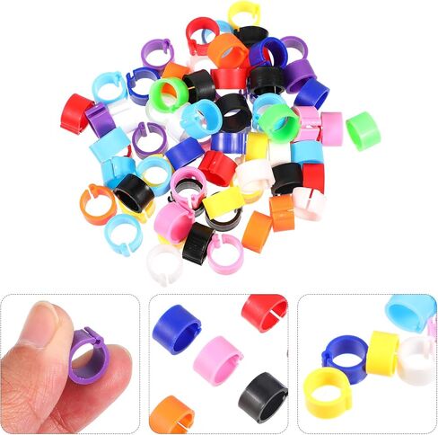 Birdies Pigeon Foot Ring 100Pcs Plastic Bird Leg Band Rings Multi-Color Leg Rings Bird Clips Ankle Band Racing Pigeon Bands for Pigeon Dove Chicks Bantam Ar Accessories in Saudi Arabia