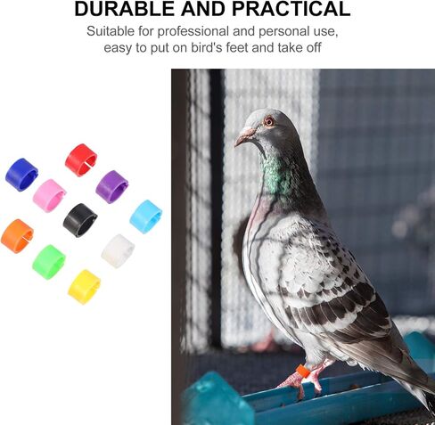 Birdies Pigeon Foot Ring 100Pcs Plastic Bird Leg Band Rings Multi-Color Leg Rings Bird Clips Ankle Band Racing Pigeon Bands for Pigeon Dove Chicks Bantam Ar Accessories in Saudi Arabia
