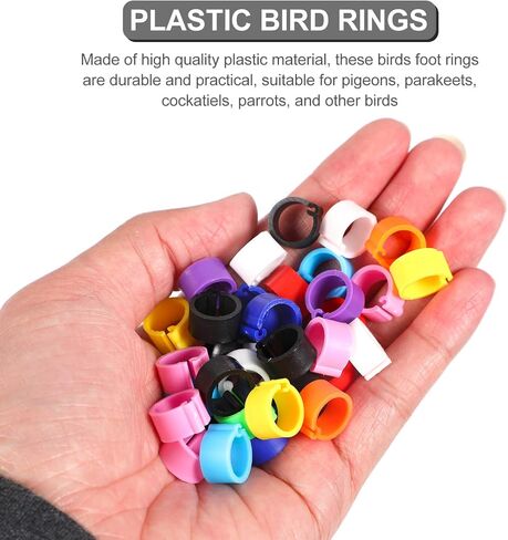 Birdies Pigeon Foot Ring 100Pcs Plastic Bird Leg Band Rings Multi-Color Leg Rings Bird Clips Ankle Band Racing Pigeon Bands for Pigeon Dove Chicks Bantam Ar Accessories in Saudi Arabia