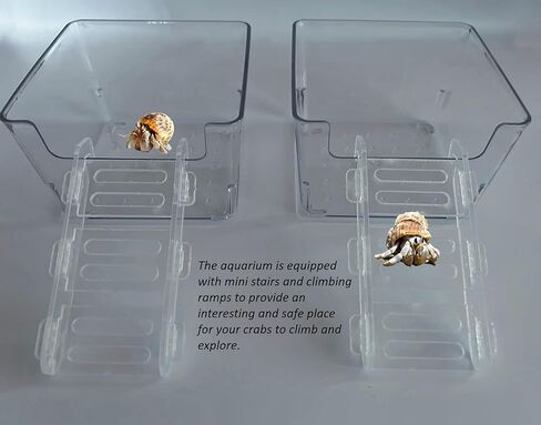 2 عبوة من خزانات مياه السلطعون الناسك الشفافة من الأكريليك مع سلالم صغيرة ومنحدر تسلق، مجموعة موائل السلطعون الناسك: حوض سمك سرطان البحر صغير/متوسط ​​مع ملحقات حمام السباحة بالمياه المالحة in Kuwait