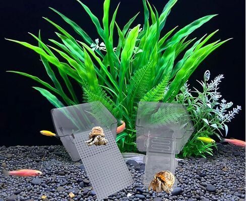 2 عبوة من خزانات مياه السلطعون الناسك الشفافة من الأكريليك مع سلالم صغيرة ومنحدر تسلق، مجموعة موائل السلطعون الناسك: حوض سمك سرطان البحر صغير/متوسط ​​مع ملحقات حمام السباحة بالمياه المالحة in Kuwait