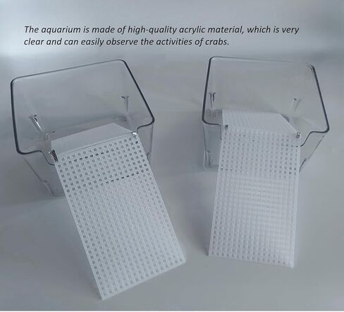 2 عبوة من خزانات مياه السلطعون الناسك الشفافة من الأكريليك مع سلالم صغيرة ومنحدر تسلق، مجموعة موائل السلطعون الناسك: حوض سمك سرطان البحر صغير/متوسط ​​مع ملحقات حمام السباحة بالمياه المالحة in Kuwait