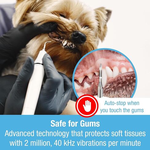 مجموعة تنظيف أسنان الكلاب بالموجات فوق الصوتية من تيلكير مع أداة تنظيف أسنان القطط بإضاءة LED مع 3 أوضاع للتنظيف، و4 رؤوس تنظيف ومنظف اللسان - مزيل جير الكلاب للأسنان in Kuwait